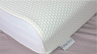 Ultimate Comfort + Cervical/Spine Support