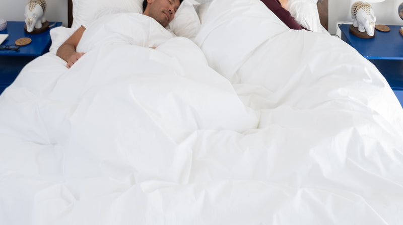 Crisp Percale Weave